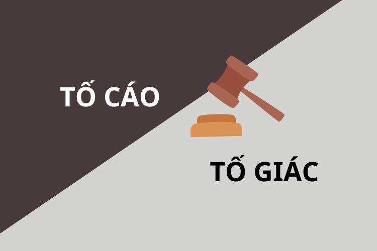Quy trình tố giác, báo tin về tội phạm và kiến nghị khởi tố